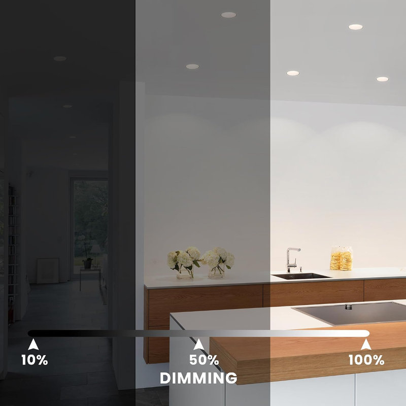 Luminaire encastré à DEL 12 W à intensité variable de 12 W, 5 ampoules de remplacement à DEL 45 W, 950 lumens, lumières pour plafonnier, lumières intérieures (ensemble de 12)