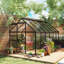 Serre en polycarbonate, serre accessible à pied-107382554-107382552
