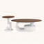 Ensemble de 2 tables basses gigognes-117204450-117204451