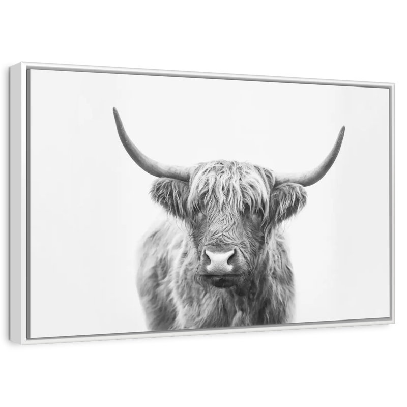 Highland Bull I, Cadre flottant blanc, 13 po x 9 po