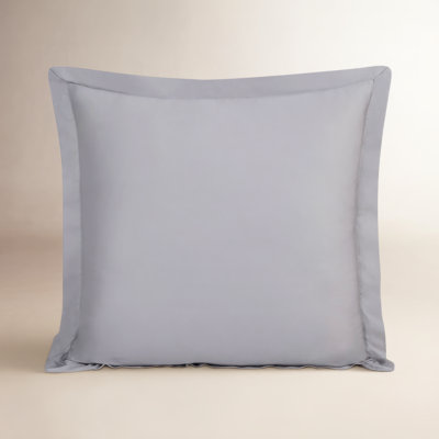 Eucalyptus Silky Soft Modern Contemporary 27x27 inch Euro Sham