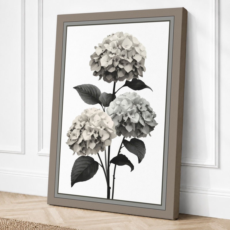 Hydrangea Study Botanical - Wrapped Canvas, 24x16 - 61.0 x 40.6 cm, Taupe Border