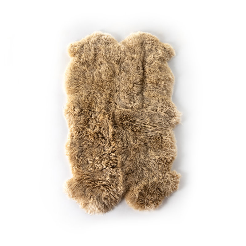 Lalo Sheepskin Area Rug in Cream, Novelty 3'3 x 5'10"