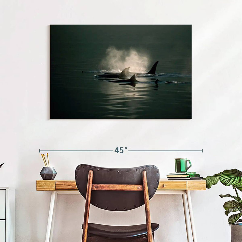 Brampt Orca Whale Pod, 26" H x 39" W