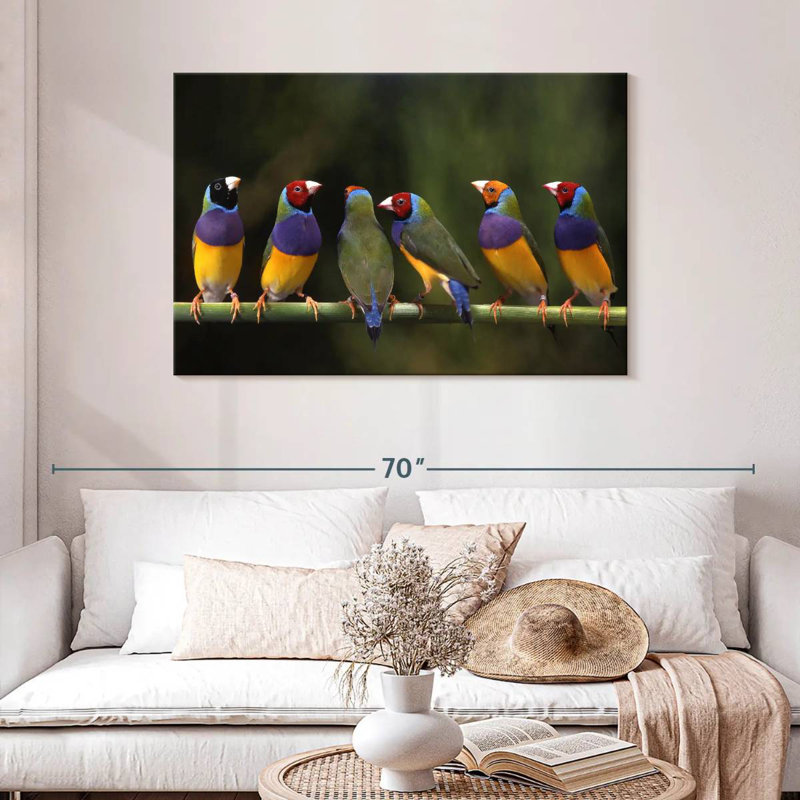 Gouldian Finch I