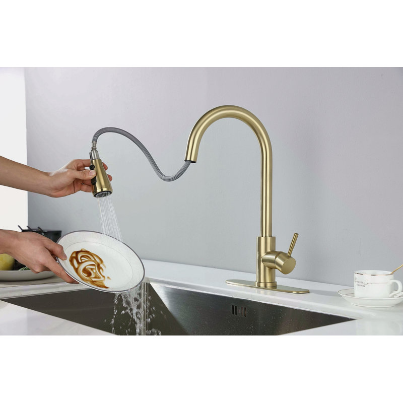 Kitchen Faucet With Pull Out Spraye