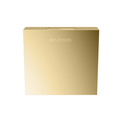 Designer 3 in. Steamhead with AromaTherapy Reservoir in Square 