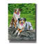 «Two Australian Shepherd Dogs» par Rebecca Wang, art mural sur toile-1557805996