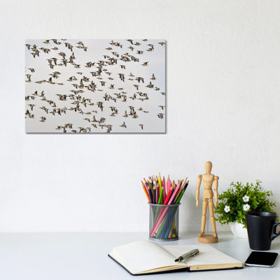 " Barnacle Geese " by Elmar Weiss