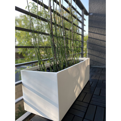 Cogburn Belmont Rectangle Planter Box