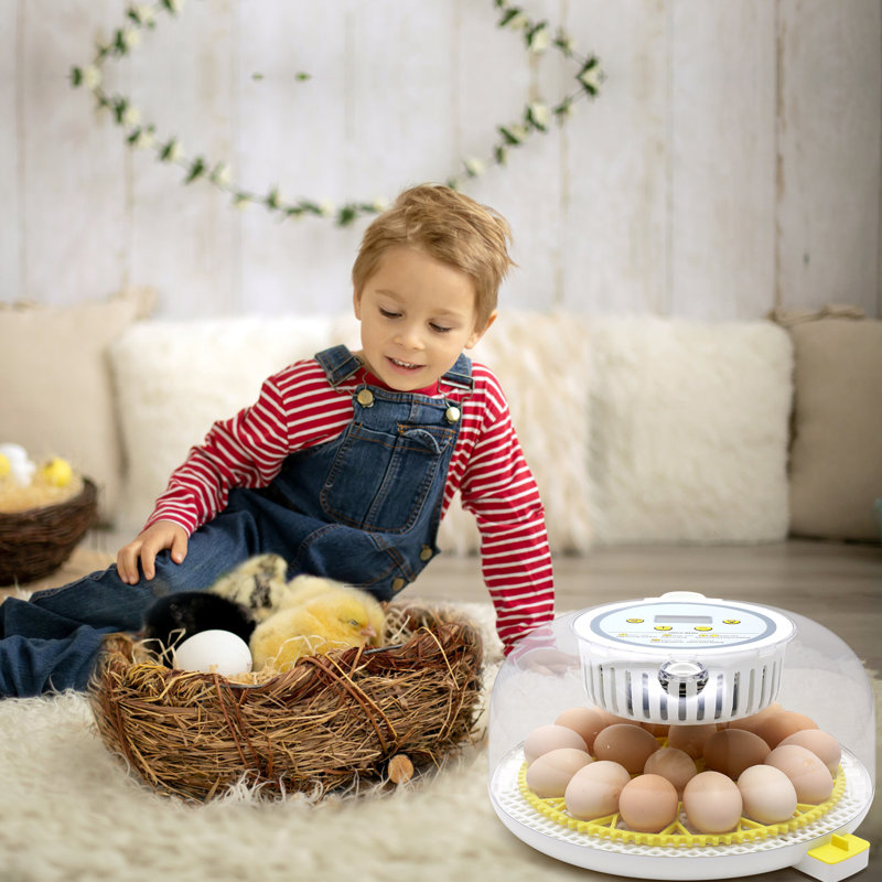 Incubateur à 18 œufs avec retournement automatique des œufs, couveuses pour œufs à couver, contrôle de la température et de l'humidité, couveuse à œufs, couveuse à œufs pour couver les poules, oiseaux, œufs de caille, canards, oies, pigeons