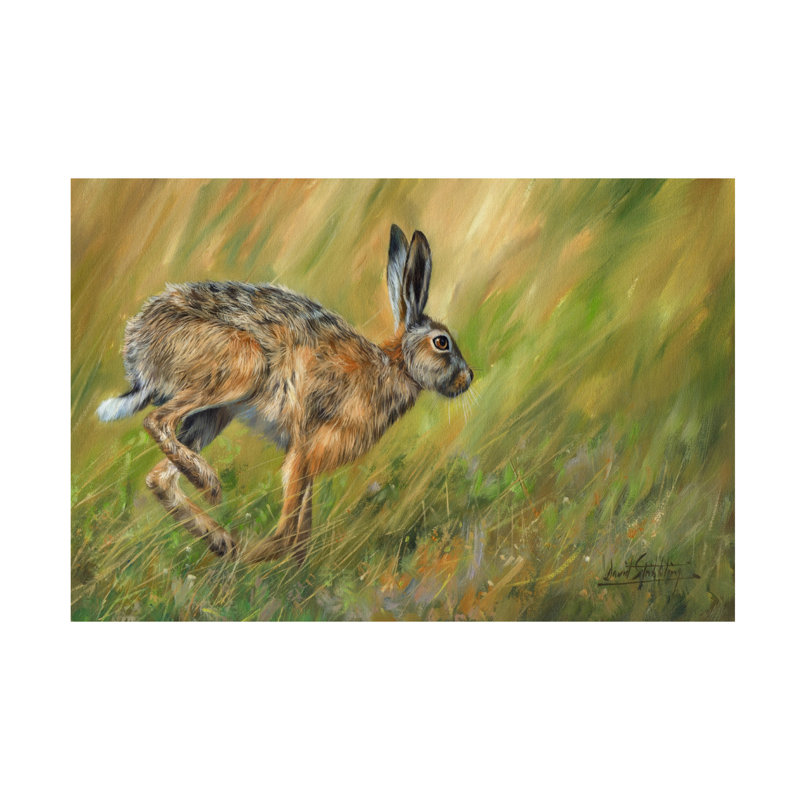 Art sur toile David Stribble Hare, H 12 po x l 19 po