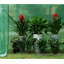 Elkport 2.5 Ft W x 6.5 Ft D Mini Greenhouse-344617324