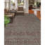 Cornwall Wool Oriental Area Rug in Rust