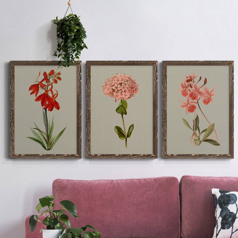 «Botanical Array VII», ensemble de 3 reproductions d'art sur toile, Noyer, H 37,5 po x l 82,5 po x P 1,5 po