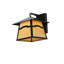 Stillwater 1 - Light Armed Sconce