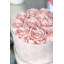 Segovia Rose Hatbox