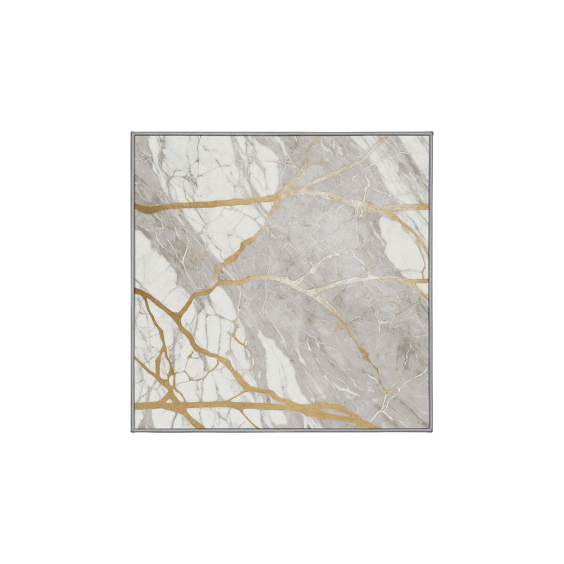 Machine Washable Gray Area Rug, Square 4'