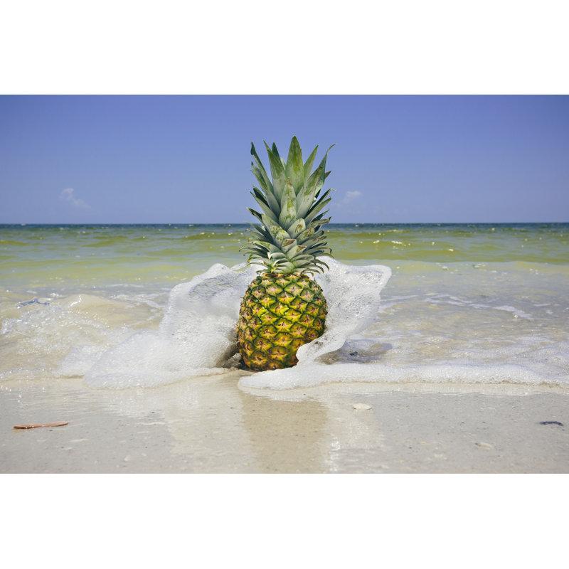 South Florida Pineapple IV by Adam Mead - Wrapped Canvas Print, 51cm H x 76cm W x 3.8cm D