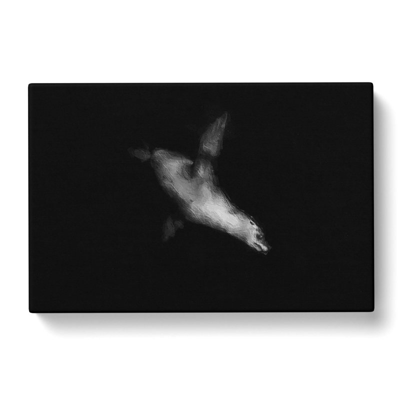 Sea Lion - Wrapped Canvas, 35cm H x 50cm W x 3cm D