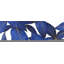 Abstrait, feuilles bleues modernes - impression encadrée botanique-679487510-679487505