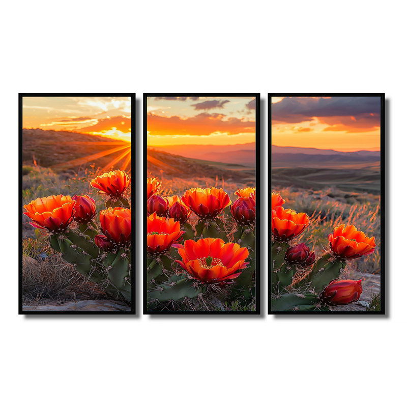 Cactus en fleurs au coucher du soleil II - art mural cactus - ensemble de 3, H 28 po x l 36 po, Noir