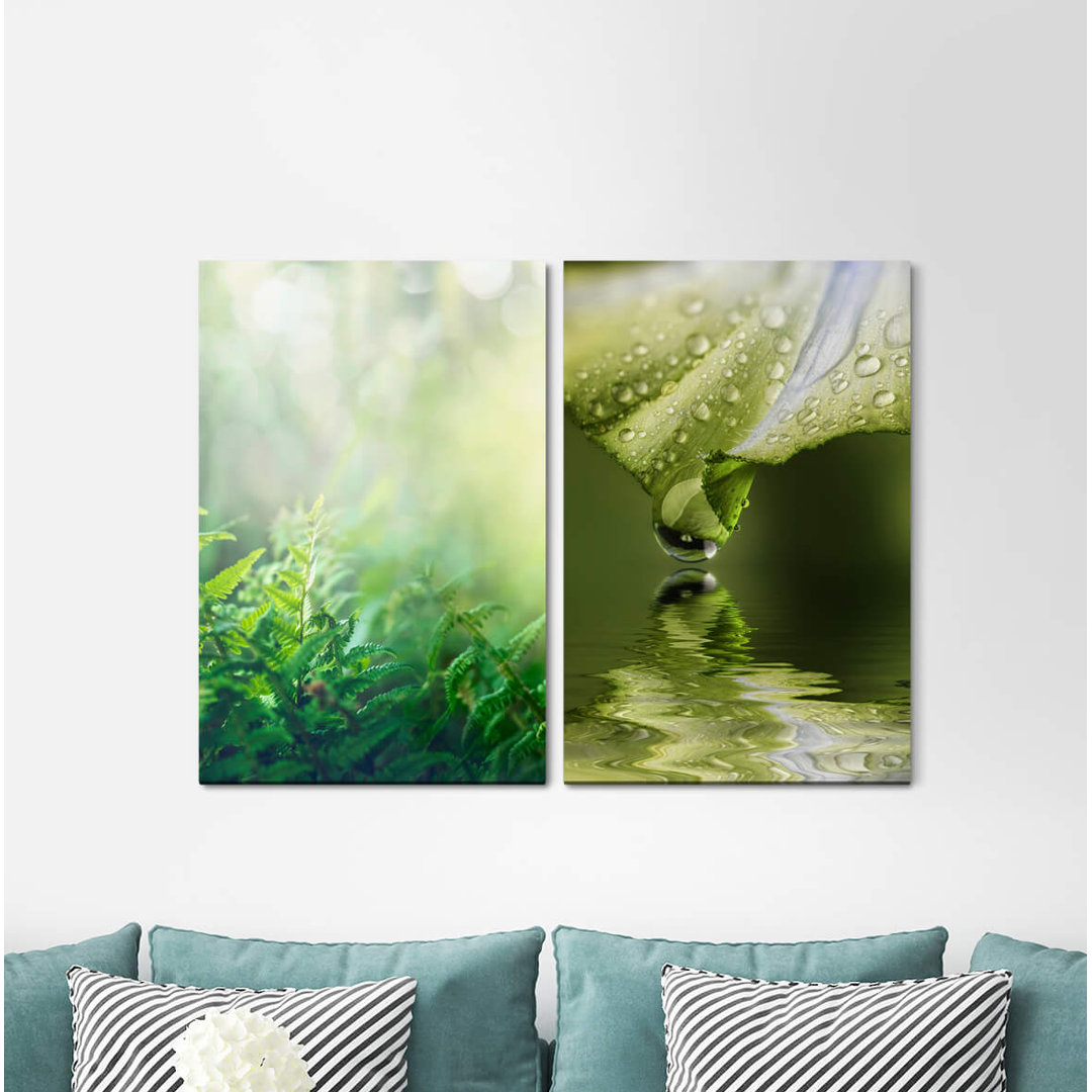 2-tlg. Leinwandbilder-Set - Fotografie „Forest Green Stream Blossom Water Pearl Water Reflection Refreshing Harmony”