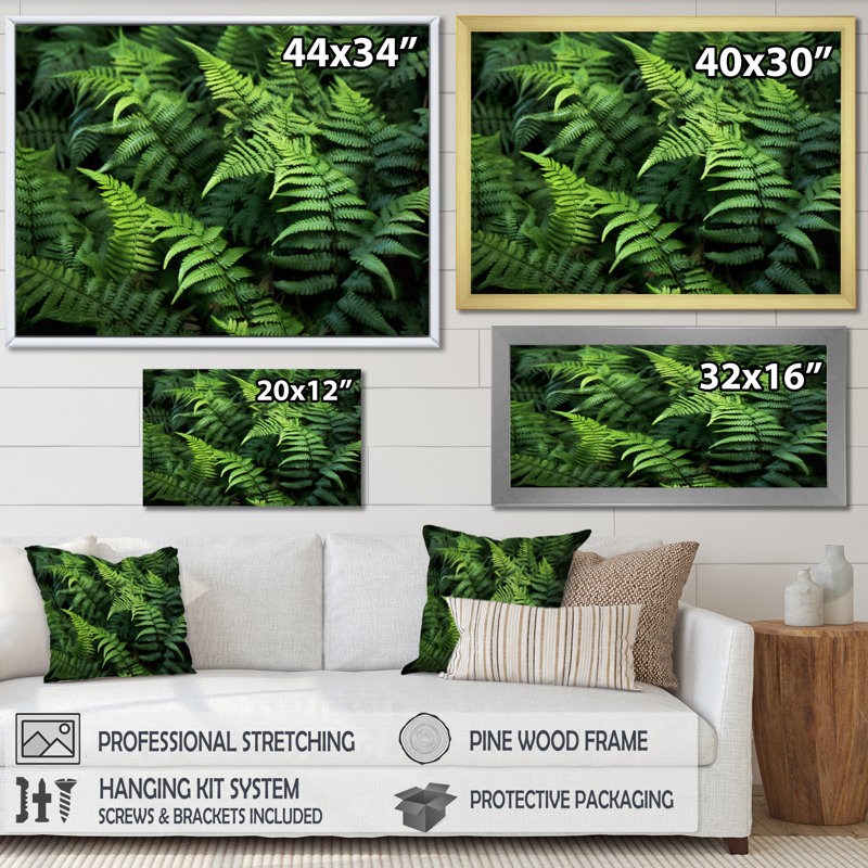 «Green Fern Scenery I» sur toile, H 34 po x l 44 po x P 1,5 po, Cadre flottant noir