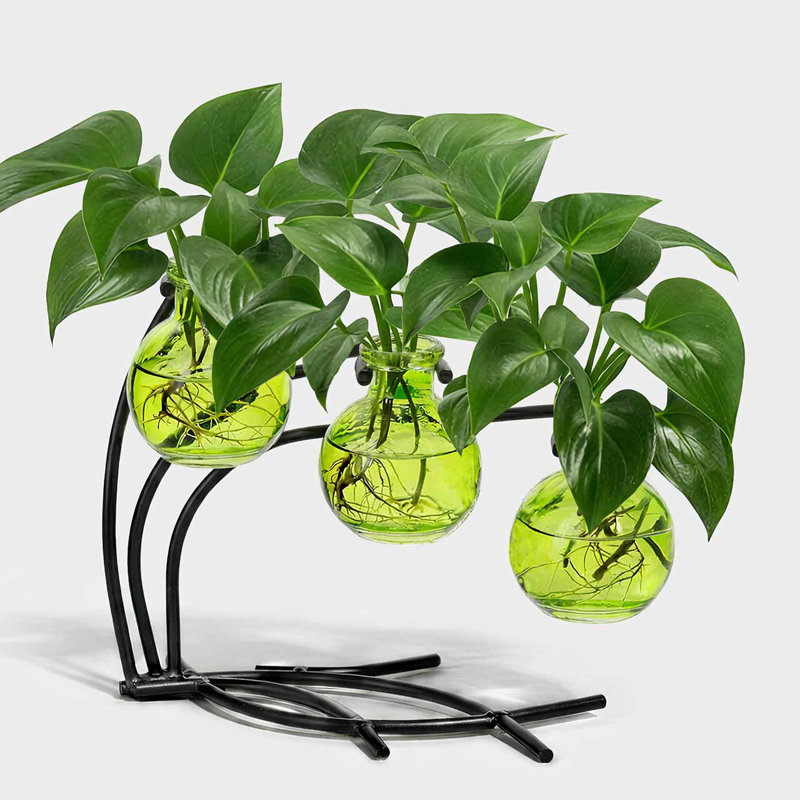 Ensemble de 3 vases en verre Creative, Vert lime