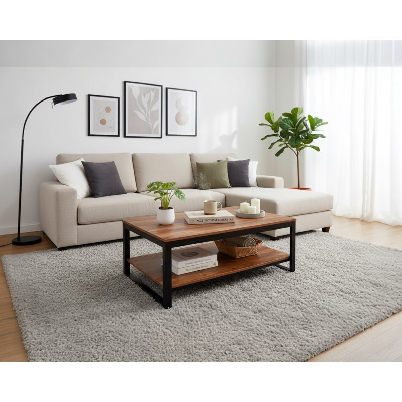 Table basse avec rangement Frame