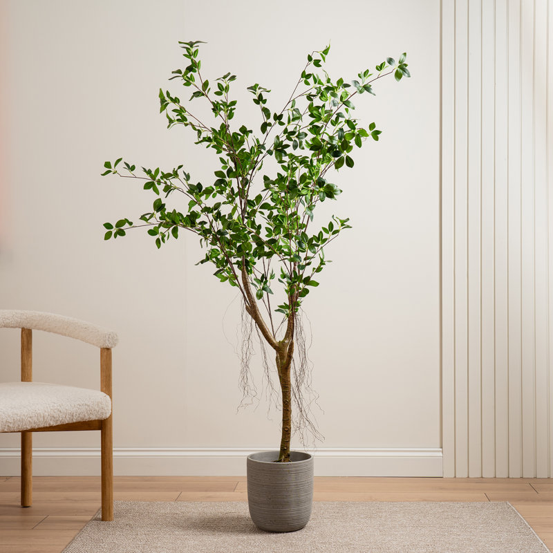 150cm FauxReal Touch Mini Ficus Tree