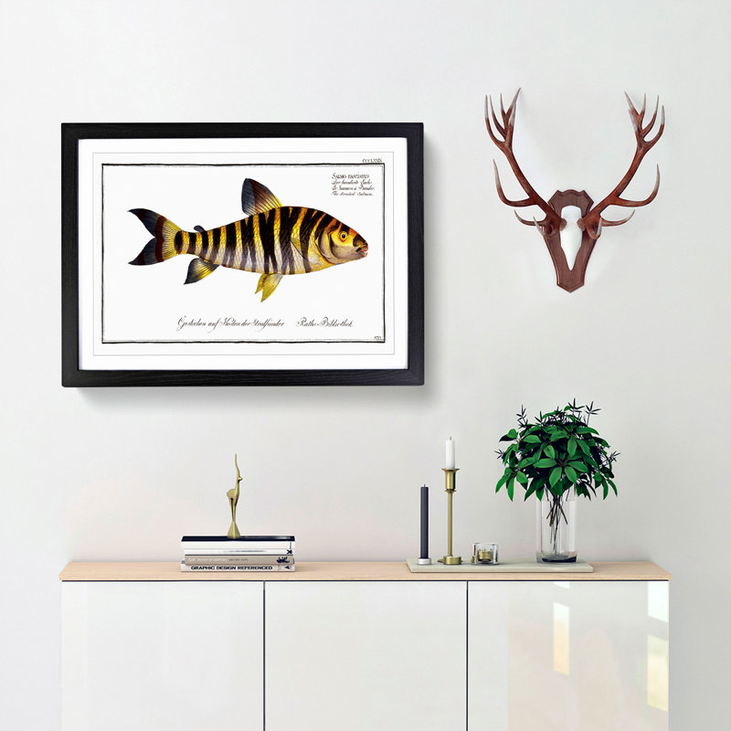Streaked Salmon Fish by M.E. Bloch - Framed Print, Black Framed, 48cm H x 65cm W x 2cm D