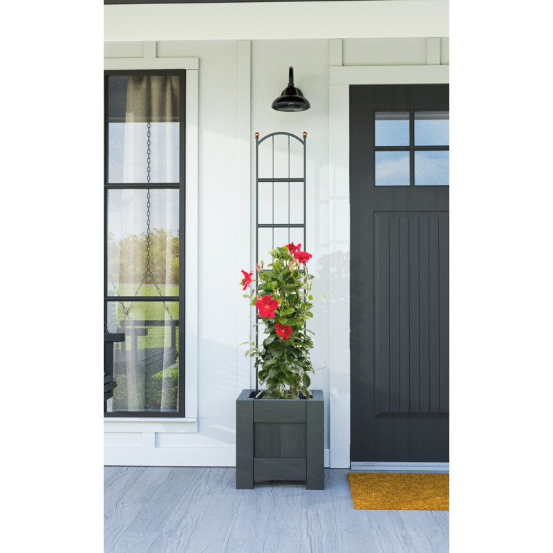150cm H x 28cm W Metal Arched Trellis