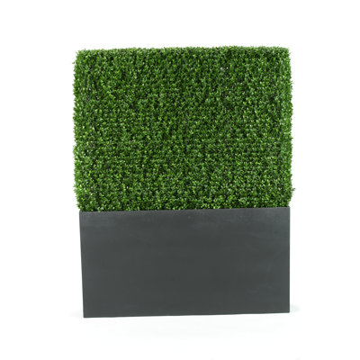 Faux Boxwood Hedge in HDPE Plastic Planter