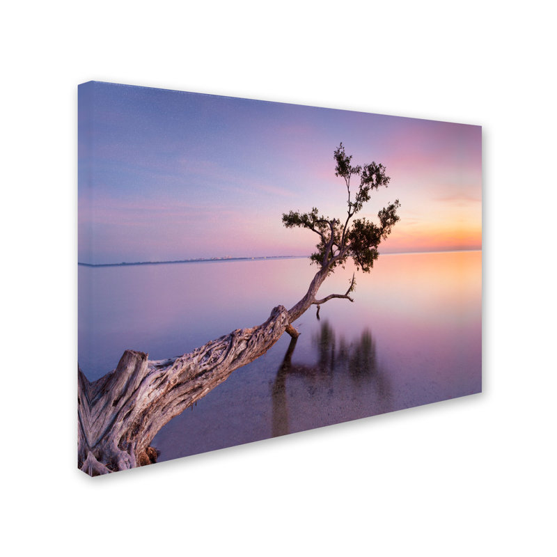 « water tree xv », impression sur toile tendue, H 14 po x l 19 po x P 2 po