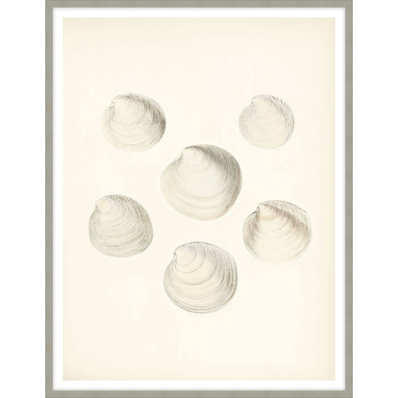 Sea Trinkets 1 Print by Studio L57 Nouvelle, 21.75" H x 17.75" W