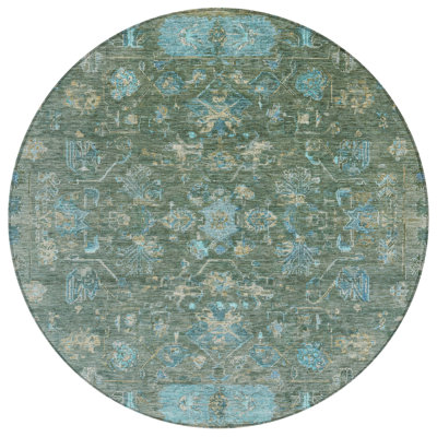 Machine Washable Indoor/Outdoor Chantille ACN2323 Global Rug
