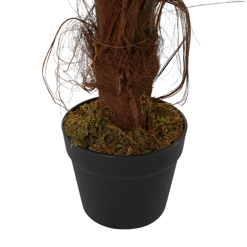 120cm Plant