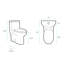 Toilette allongée une pièce à double chasse Sublime Bisque 1,1 / 1,6 gallon par pièce-113607272-113607274