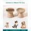 Elevated Feeder-124884116