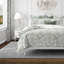 Paisley Seafoam Cotton Comforter Set-1556687532