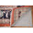 Vegetable Dye Ziegler Oriental Area Rug 8x10