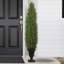 5'' Artificial Cedar Pine Arborvitae Tree In Urn Style Pot  Unlit