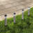 Pure Garden Outdoor Solar Lights - 4 Stainless-Steel LED Lights- Weather-Resistant Stake Lights