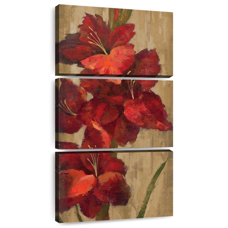 Glaïeul rouge vif, H 27 po x l 12 po