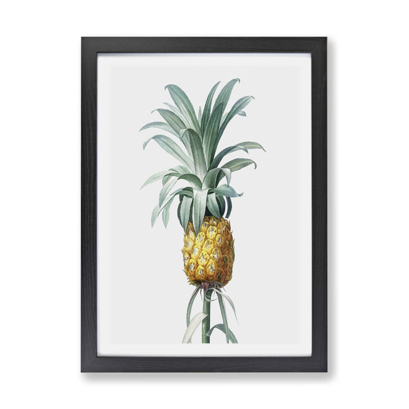 Pineapple Fruit by Pierre-Joseph Redoute - Wall Art, Walnut Framed Paper, 63cm H x 45cm W x 2cm D