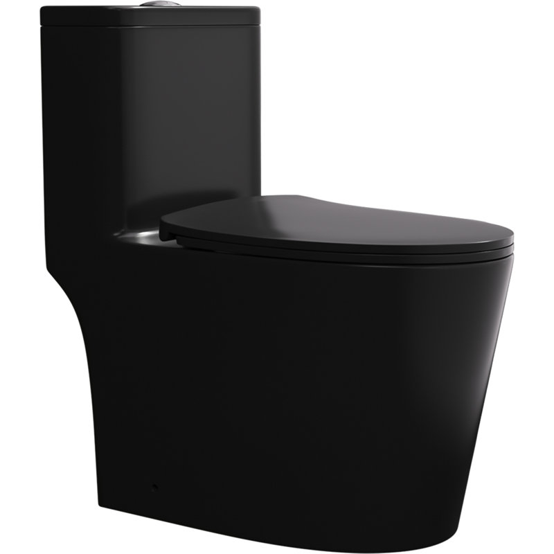Toilette allongée une pièce à double chasse