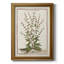 " Munting Botanicals III "-1694107788