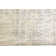 Ambrette Abstract Indoor Rug