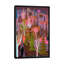 « caligula palm springs », impression sur toile-29088728-72775861-72775862